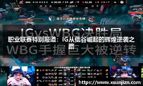 3377体育官网入口网页版