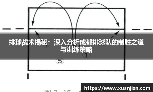 3377体育官网